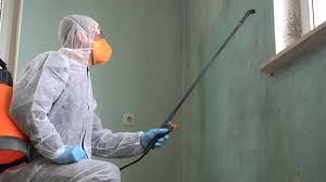 Why You Should Choose Our Mold Remediation Services in Breckenridge, MI